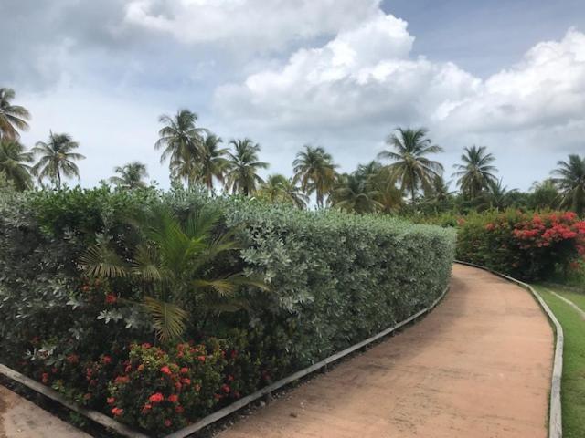 Bonheur A La Residence Savane Le Gosier  Ngoại thất bức ảnh